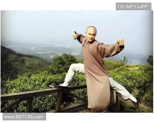 一龙挑战太极拳的背后真相与武术文化的碰撞与传承探讨 一龙挑战太极拳的背后真相与武术文化的碰撞与传承探讨