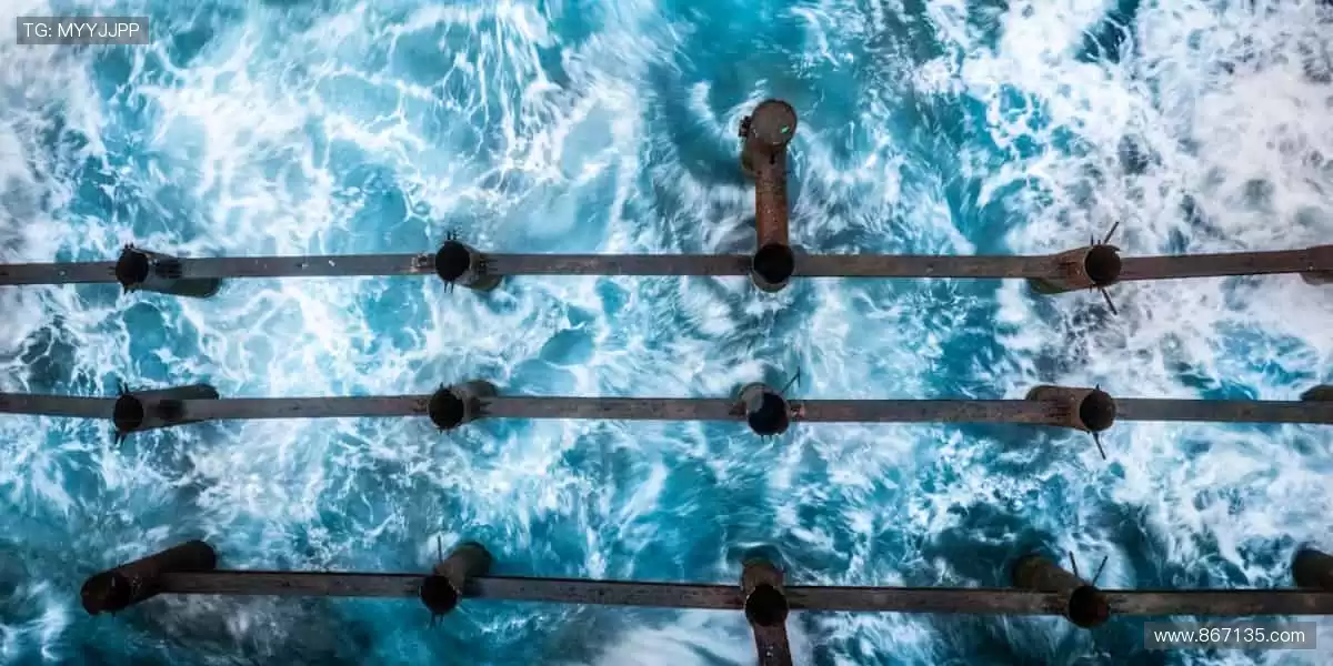 ⚡巅峰对决，心跳与欢呼同频！🏆